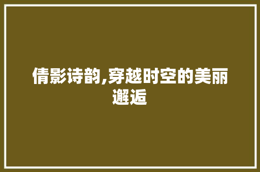 倩影诗韵,穿越时空的美丽邂逅