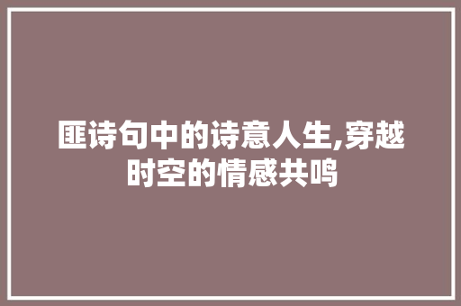 匪诗句中的诗意人生,穿越时空的情感共鸣