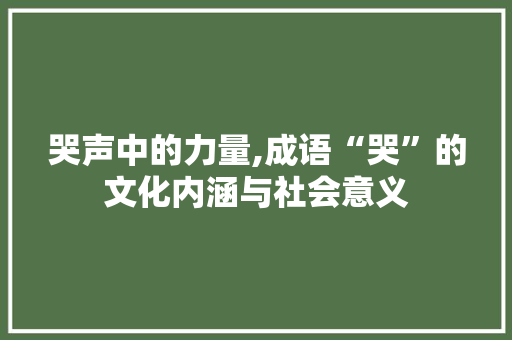 哭声中的力量,成语“哭”的文化内涵与社会意义