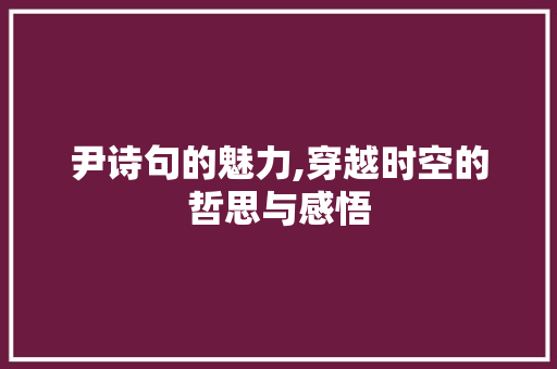尹诗句的魅力,穿越时空的哲思与感悟