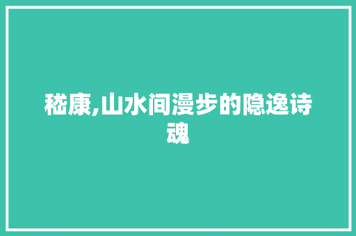 嵇康,山水间漫步的隐逸诗魂 工作报告