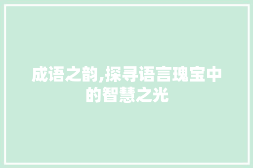 成语之韵,探寻语言瑰宝中的智慧之光