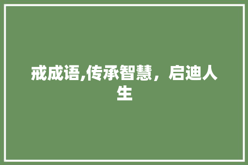 戒成语,传承智慧，启迪人生
