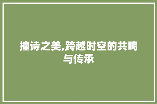 撞诗之美,跨越时空的共鸣与传承
