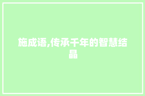 施成语,传承千年的智慧结晶
