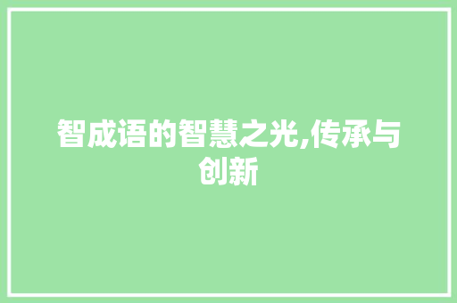 智成语的智慧之光,传承与创新