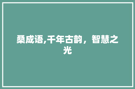 桑成语,千年古韵，智慧之光