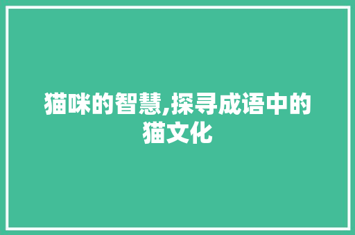 猫咪的智慧,探寻成语中的猫文化