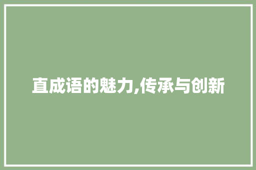 直成语的魅力,传承与创新