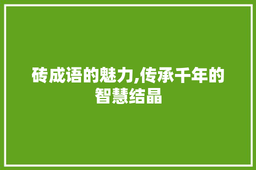 砖成语的魅力,传承千年的智慧结晶