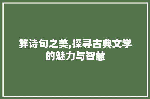笄诗句之美,探寻古典文学的魅力与智慧