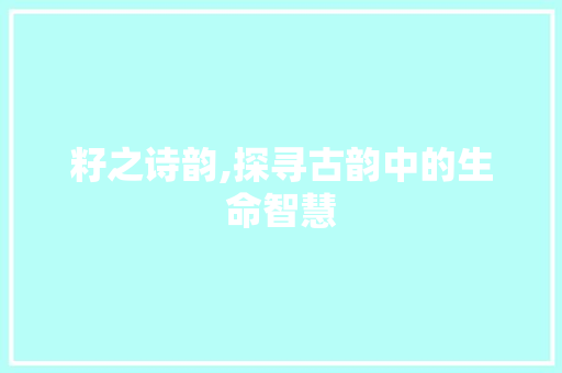 籽之诗韵,探寻古韵中的生命智慧