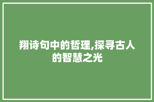 翔诗句中的哲理,探寻古人的智慧之光 工作类