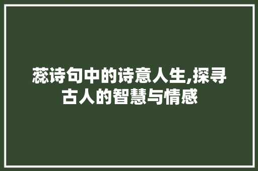 蕊诗句中的诗意人生,探寻古人的智慧与情感