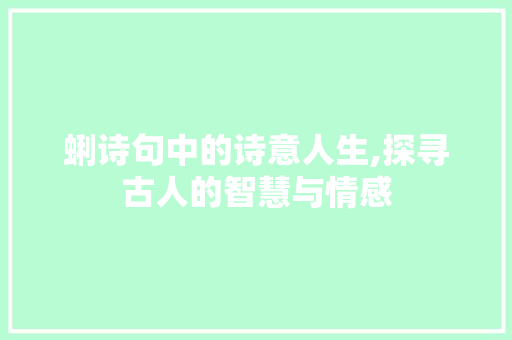 蜊诗句中的诗意人生,探寻古人的智慧与情感