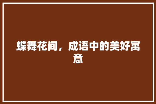 蝶舞花间，成语中的美好寓意