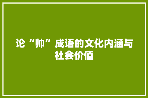 论“帅”成语的文化内涵与社会价值