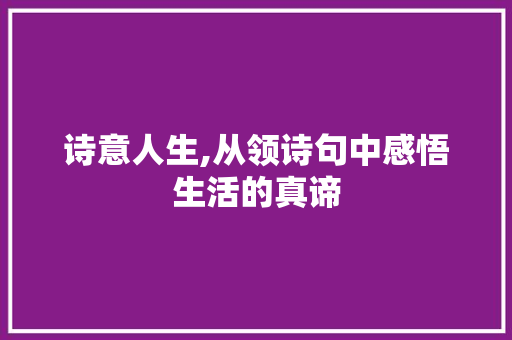 诗意人生,从领诗句中感悟生活的真谛