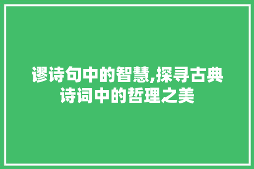 谬诗句中的智慧,探寻古典诗词中的哲理之美