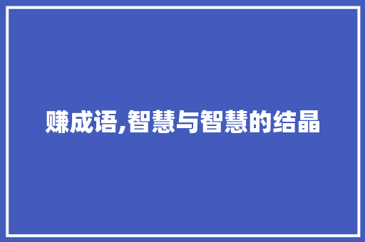 赚成语,智慧与智慧的结晶 特写稿