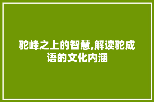 驼峰之上的智慧,解读驼成语的文化内涵