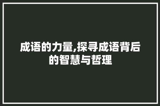 成语的力量,探寻成语背后的智慧与哲理