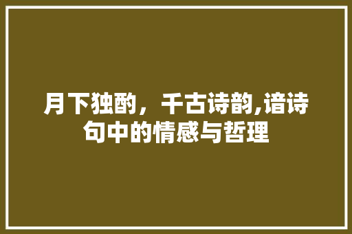 月下独酌，千古诗韵,谙诗句中的情感与哲理