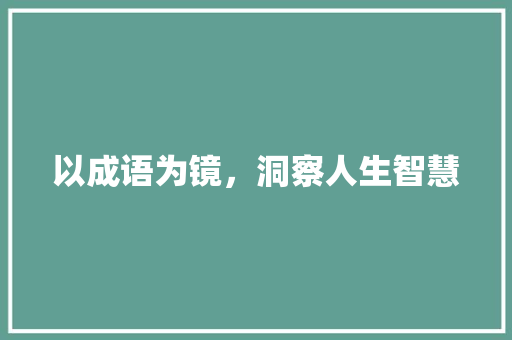 以成语为镜，洞察人生智慧