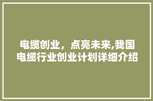 电缆创业，点亮未来,我国电缆行业创业计划详细介绍