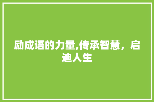 励成语的力量,传承智慧，启迪人生