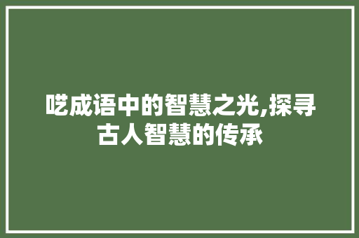 呓成语中的智慧之光,探寻古人智慧的传承