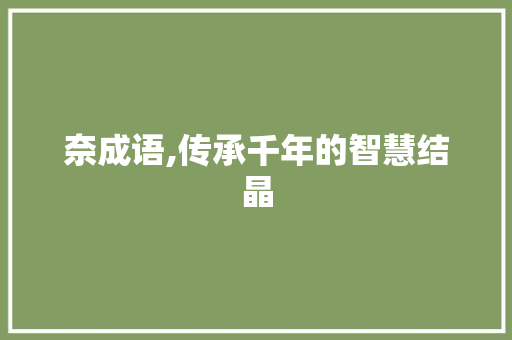 奈成语,传承千年的智慧结晶