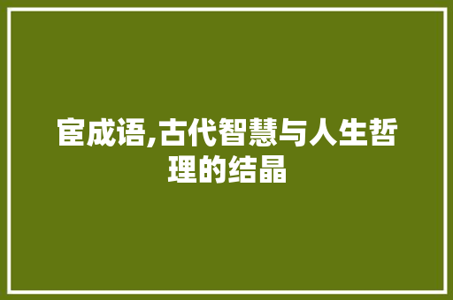 宦成语,古代智慧与人生哲理的结晶