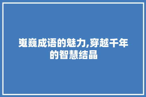 嵬巍成语的魅力,穿越千年的智慧结晶