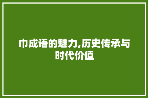 巾成语的魅力,历史传承与时代价值