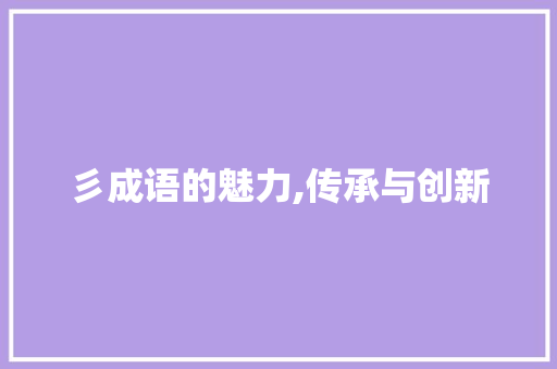 彡成语的魅力,传承与创新 工作报告