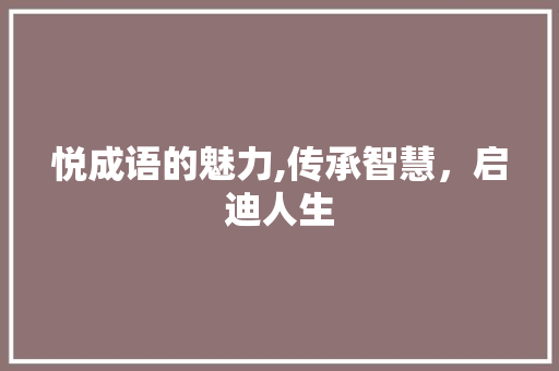 悦成语的魅力,传承智慧，启迪人生
