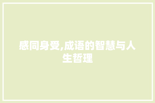 感同身受,成语的智慧与人生哲理
