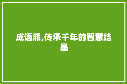 成语派,传承千年的智慧结晶