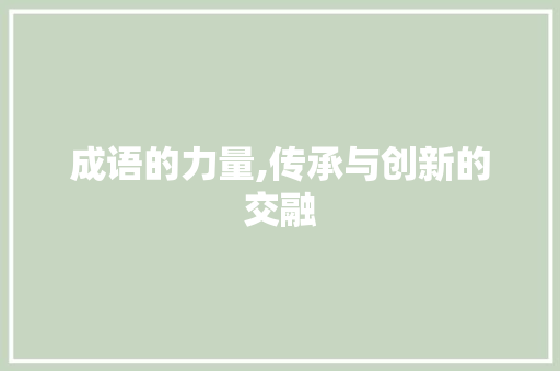 成语的力量,传承与创新的交融