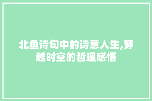 北鱼诗句中的诗意人生,穿越时空的哲理感悟