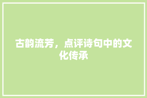 古韵流芳，点评诗句中的文化传承