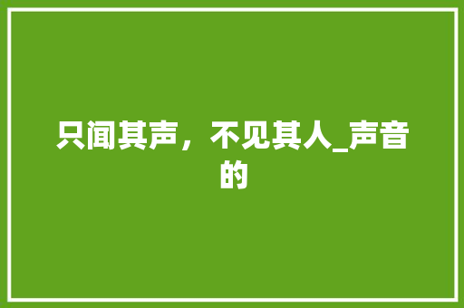 只闻其声，不见其人_声音的