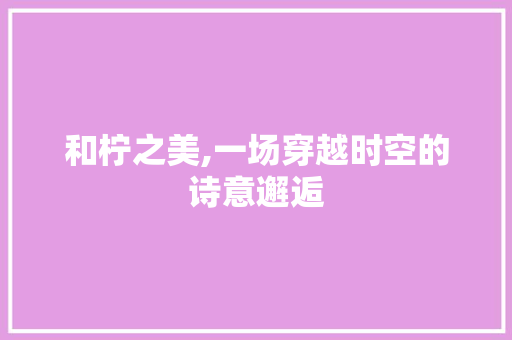 和柠之美,一场穿越时空的诗意邂逅