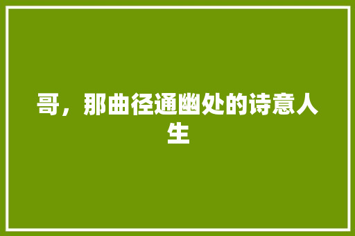 哥，那曲径通幽处的诗意人生