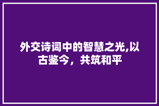外交诗词中的智慧之光,以古鉴今，共筑和平