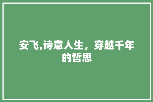 安飞,诗意人生，穿越千年的哲思