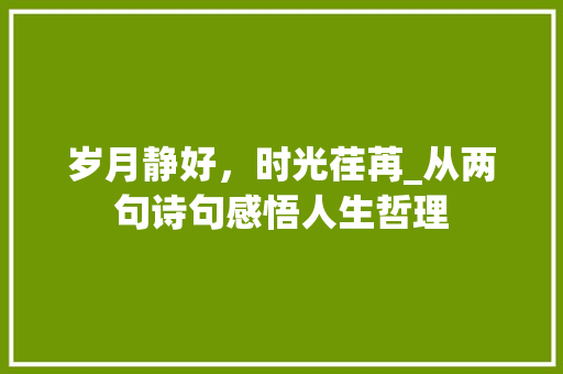 岁月静好，时光荏苒_从两句诗句感悟人生哲理 商业文稿