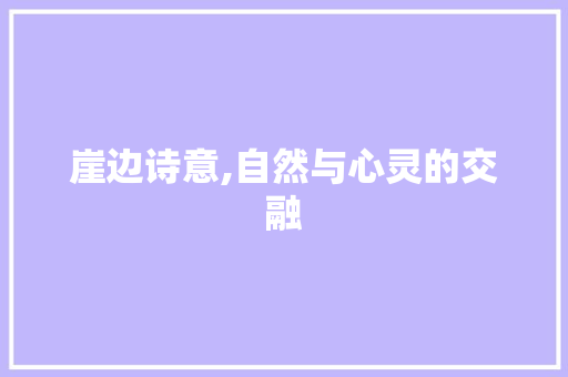 崖边诗意,自然与心灵的交融