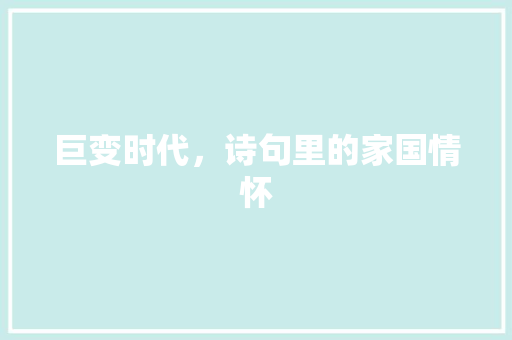 巨变时代，诗句里的家国情怀
